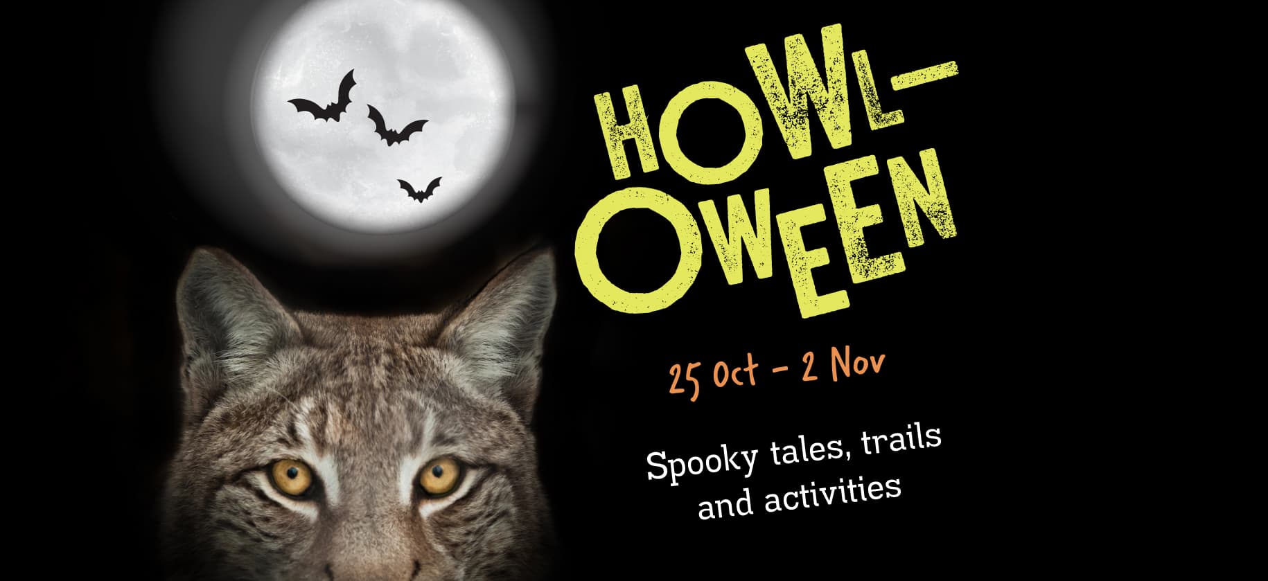A lynx under a full moon with flying bats. Text: "Howl-Oween, 25 Oct - 2 Nov, Spooky tales, trails and activities."
