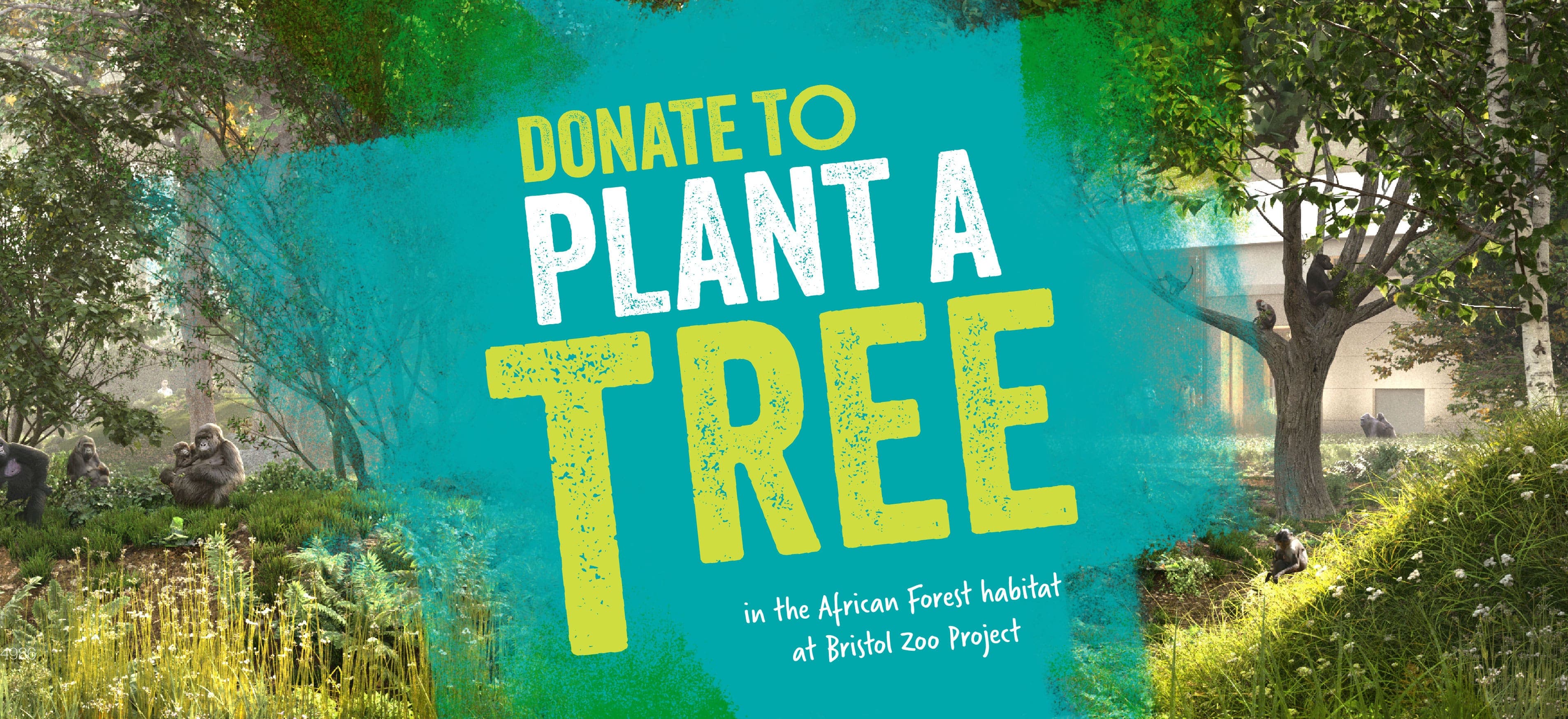 A CGI image of a gorilla habitat with the words 'Donate to plant a tree in the African Forest habitat at Bristol Zoo Project'