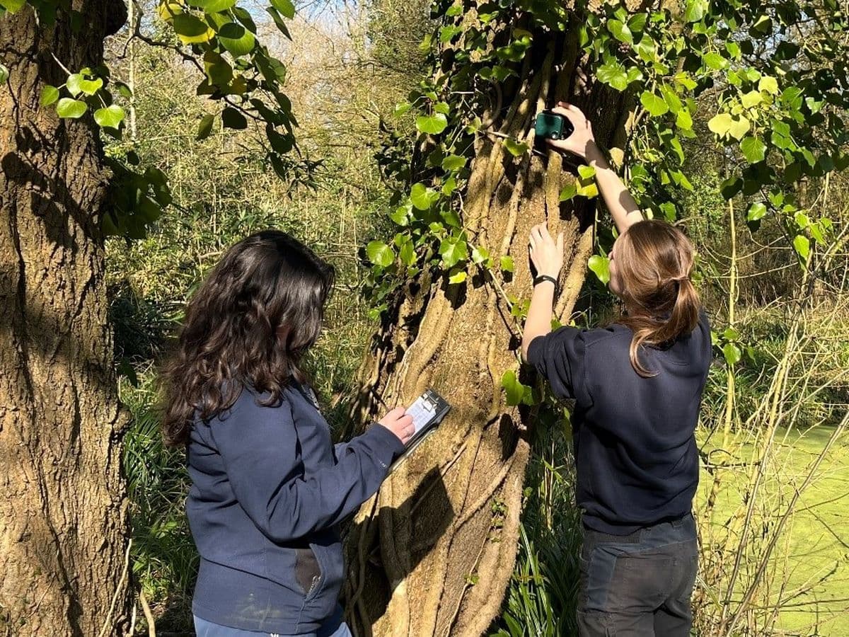 A woman putting a box on a tree with another standing with a clipboard